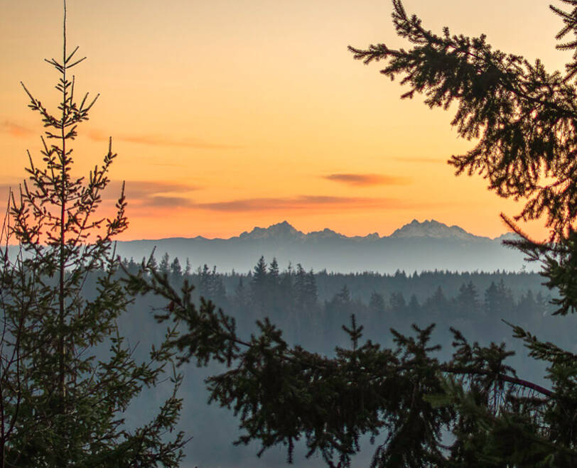 Photo by Kerry Tremain / Sunrise lights up Chimacum Ridge. This photo is featured on the label of Finnriver’s Chimacum Ridge Toasted Fir Cider, a celebration of the Chimacum Ridge Community Forest which rises to the south of Finnriver’s organic orchard.