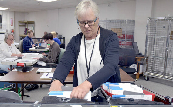 Clallam County election worker Janet Parris of Port Angeles sorts through incoming primary ballots on Tuesday at the Clallam County Courthouse. (Keith Thorpe/Peninsula Daily News)