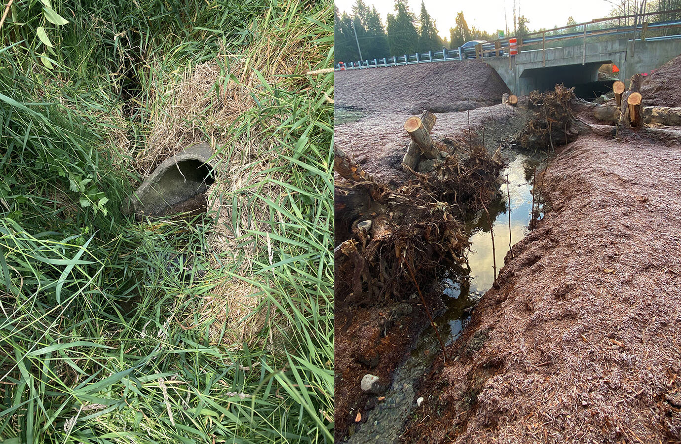 Photo courtesy of Washington State Department of Transportation / Before and after photos show work that removed barriers to fish. Eagle Creek, left, had been carried under the highway in a culvert that didn’t meet the needs of fish. Workers rebuilt the culvert, right, to be wider and taller to remove the barrier to fish.