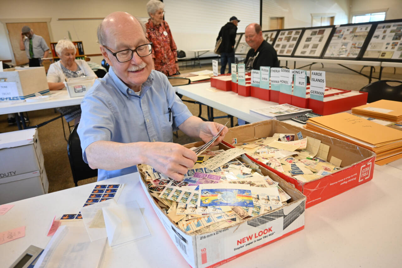 Sequim Gazette photo by Michael Dashiell / Robert Beall, a vendor from Portland, Oregon, sifts through stamps at the Strait Stamp Show at the Guy Cole Event Center on Aug. 10. Hosted by the Strait Stamp Society, whose members celebrated its 50th anniversary last year, the event features complimentary stamps for children, several door prizes, a penny stamp table, the postal service on site, dealers, exhibits and more each year. Stamp aficionado (and club member) Phil Castell said this year’s show drew about the same attendance as 2023.