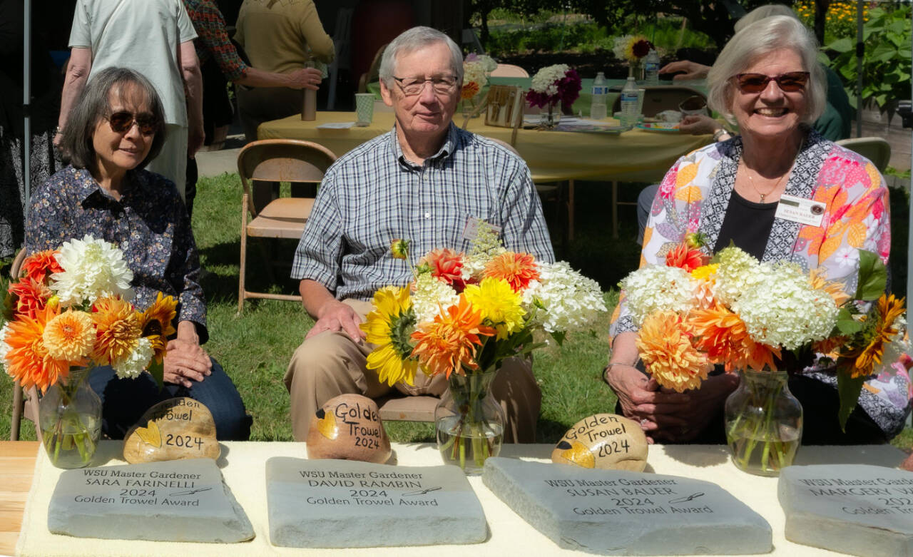 Photo courtesy of Clallam County Master Gardeners
Clallam County Master Gardeners present the Golden Trowel award to (from left) Sara Farinelli, David Rambin and Susan Bauer at a recent ceremony. The award is given to those with countless volunteer hours in countless activities. A fourth Golden Trowel was awarded to Margery Whites.