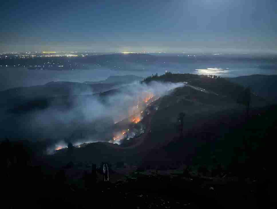 Photo courtesy of Western Washington Type 3 Incident Management Team
A wildfire near Brinnon burns in the early evening hours on Aug. 18. The fire that had spread to 445 acres is now about 80% contained.