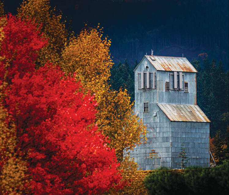 Photo by Sherrie Cerutti Photography
Sequim iconic grain elevator towers 85 feet above street level. Sequim natives Jason Hoffman and Ryan Schaafsma are working to renovate the structure to offer three businesses: a taproom/restaurant, a set of short-term rental rooms, and a coffer bar.