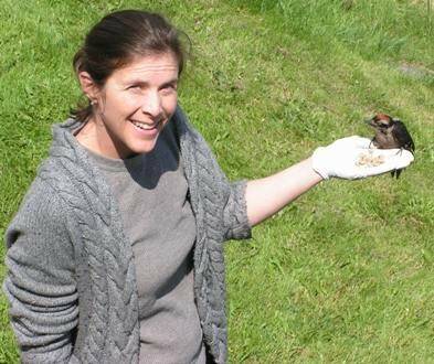 Photo courtesy of Christie Lassen / Christie Lassen offers “Helping birds out in your backyard” at the Sequim Prairie Garden Club’s Sept. 9 meeting at the Pioneer Memorial Park clubhouse.