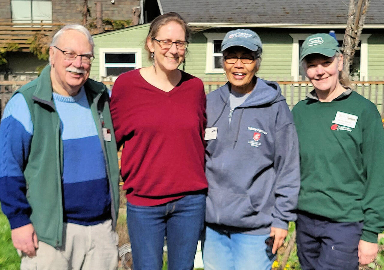 Photo by Shelly Deisch / Veteran Master Gardeners, from left, Bob Cain, Laurel Moulton, Audreen Williams and Jan Bartron look forward to closing out the 2024 garden season of Second Saturday Garden Walk on Sept. 14 at the Fifth Street Community Garden in Port Angeles. Topics will include, but are not limited to, late summer/fall tomato care, multiple aspects of saving seeds and using cover crops in the vegetable garden.