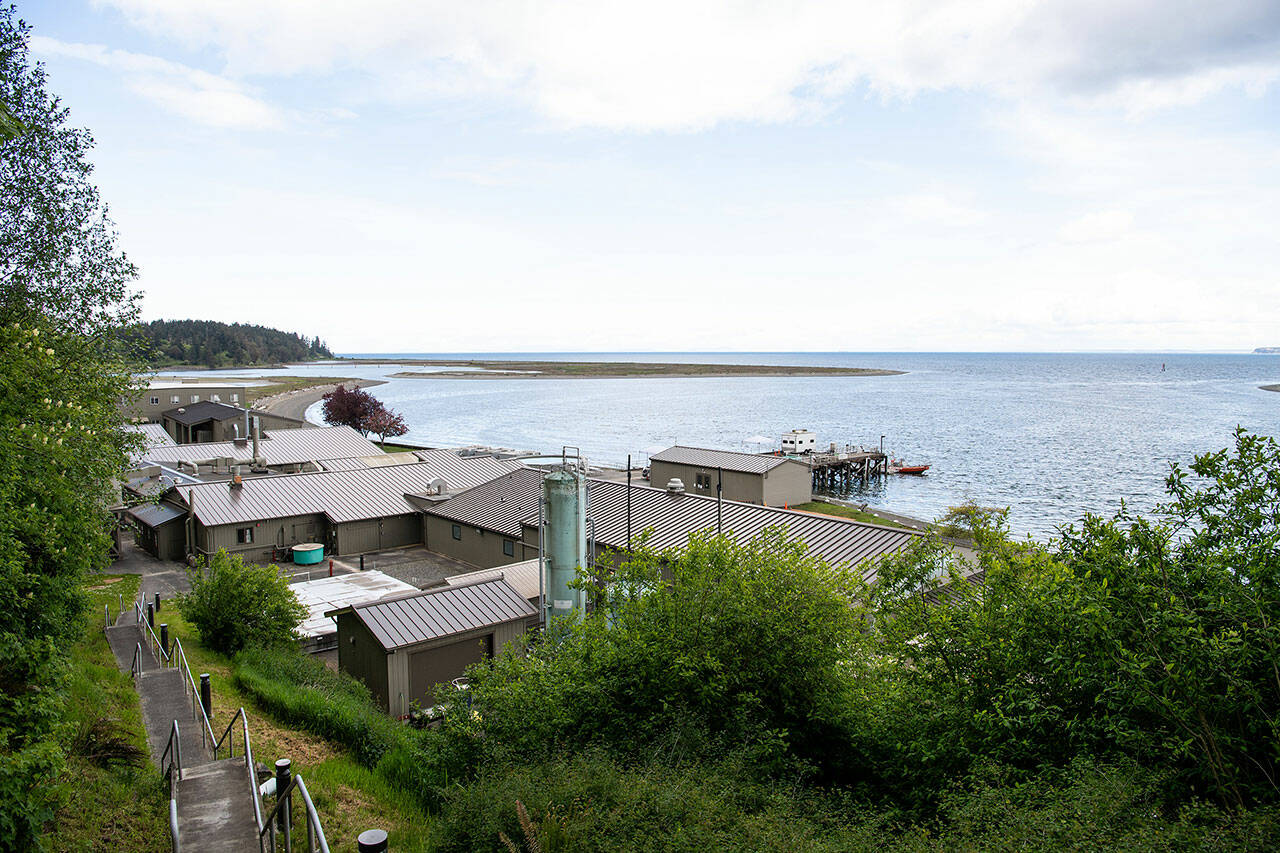 Photo by Andrea Starr/ Pacific Northwest National Laboratory
Staff with PNNL-Sequim plan to expand its laboratory space by demolishing two temporary buildings by Washington Harbor along Sequim Bay and build a three-story structure. They also intend to add City of Sequim utilities along West Sequim Bay Road in the coming years.