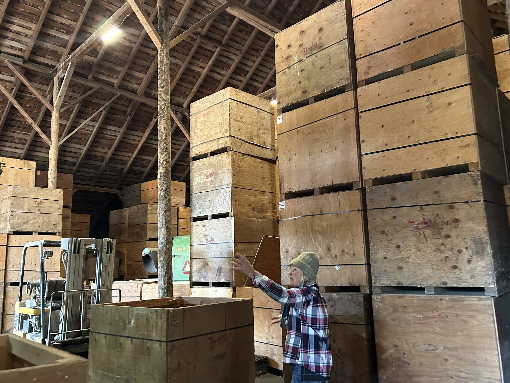 Sequim Gazette photo by Matthew Nash
Karen Huber, sister of Nash Huber the owner of Nash’s Organic Produce, stands by large crates that hold various seeds that Nash sells to farmers. She said she’s mitigated alleged violations and concerns from property owner Washington Land Trust, but the long-time farmer faces eviction from the property if he doesn’t comply with ending his lease agreement that goes through 2032.