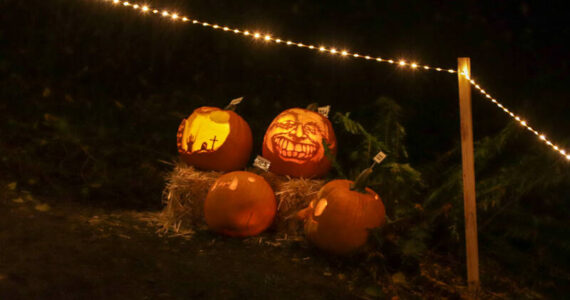 Photo by Matt Sagen/Cascadia Films
The Port Angeles Fine Arts Center hosts its annual Celebration of Shadows Fall Festival on Saturday, Oct. 19.