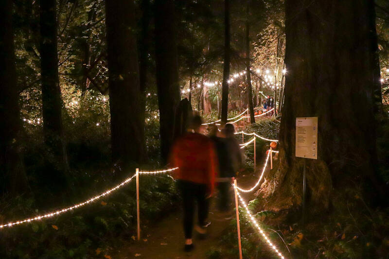 Photo by Matt Sagen/Cascadia Films
The Port Angeles Fine Arts Center hosts its annual Celebration of Shadows Fall Festival on Saturday, Oct. 19.