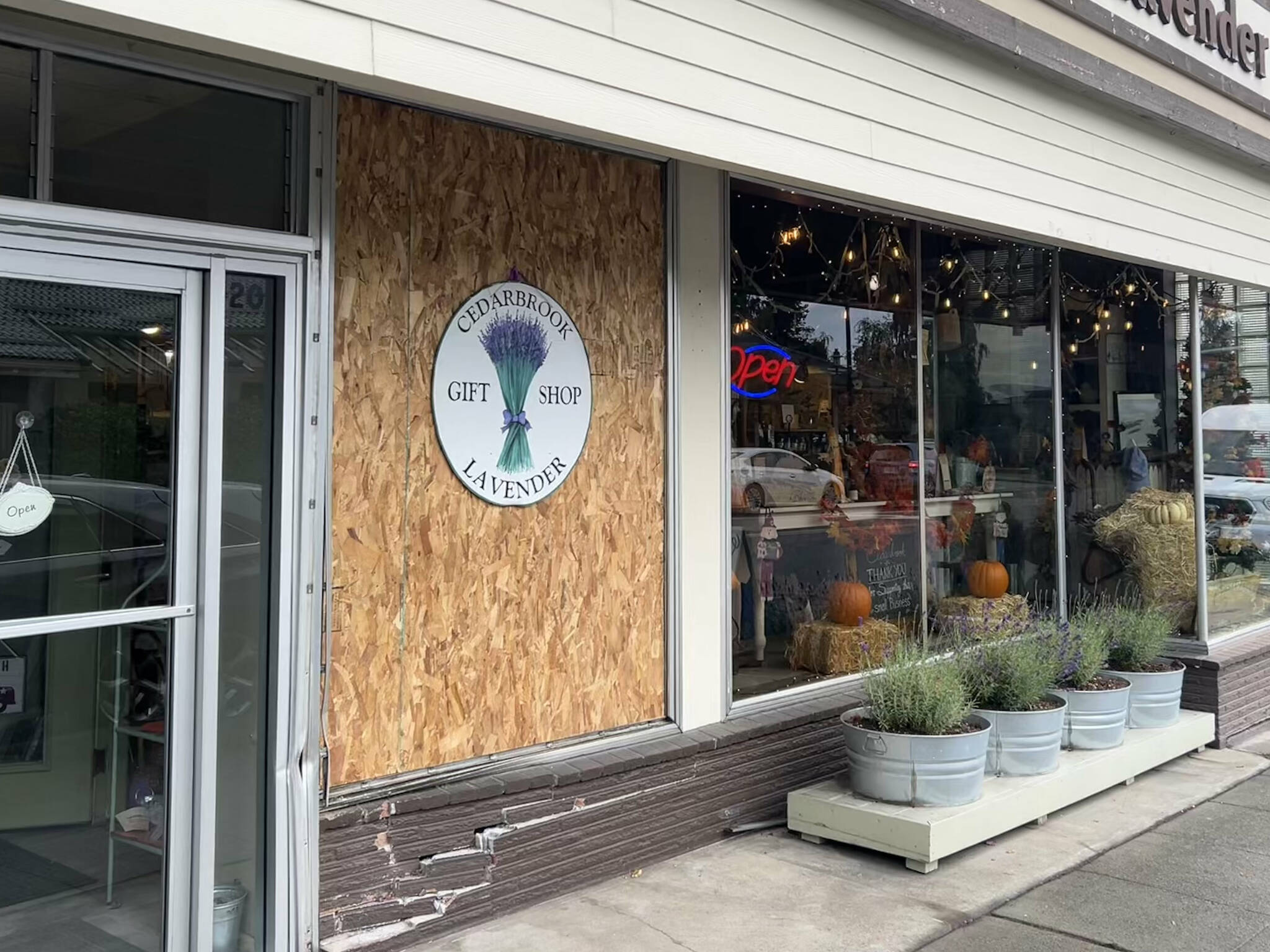 Sequim Gazette photo by Matthew Nash/ Cedarbrook Lavender was open for business as usual on Friday, Oct. 4, after a van backed into a front window the night before. Staff report they worked through the night and early morning to clean up and place a temporary board in place of the window.