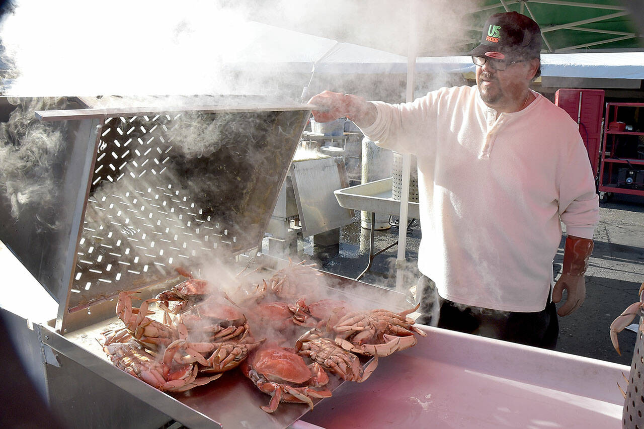 Photo by Keith Thorpe/Olympic Peninsula News Group Mario Casarez of U.S. Food pours out a batch of freshly-boiled crabs in preparation for today’s opening day (Friday, Oct. 11) of the Dungeness Crab Festival. The three-day festival celebrates a wide variety of seafood available for purchase, as well as music, merchandise vendors and other activities centered around the Red Lion Hotel parking lot and other nearby venues.