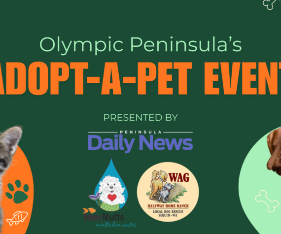 The adopt-a-pet event will run from Oct. 17-31.