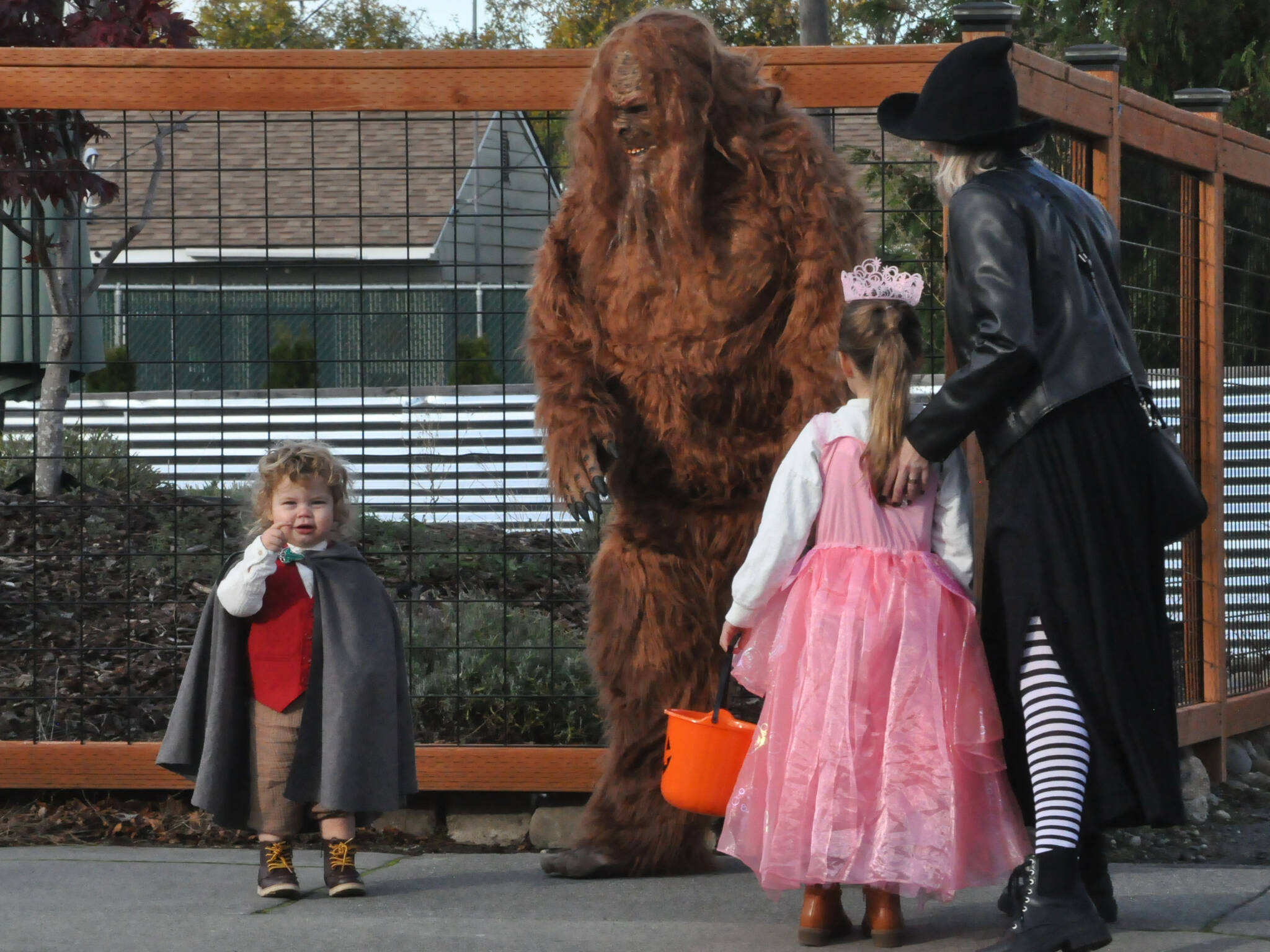 Sequim Gazette photos by Matthew Nash
Two-year-old Finn as Samwise Gamgee the hobbit from “The Lord of the Rings” is all smiles as he meets a Sasquatch with his sister Maeve and mom Kayley Jackman on Halloween during the downtown Sequim trick or treat event.