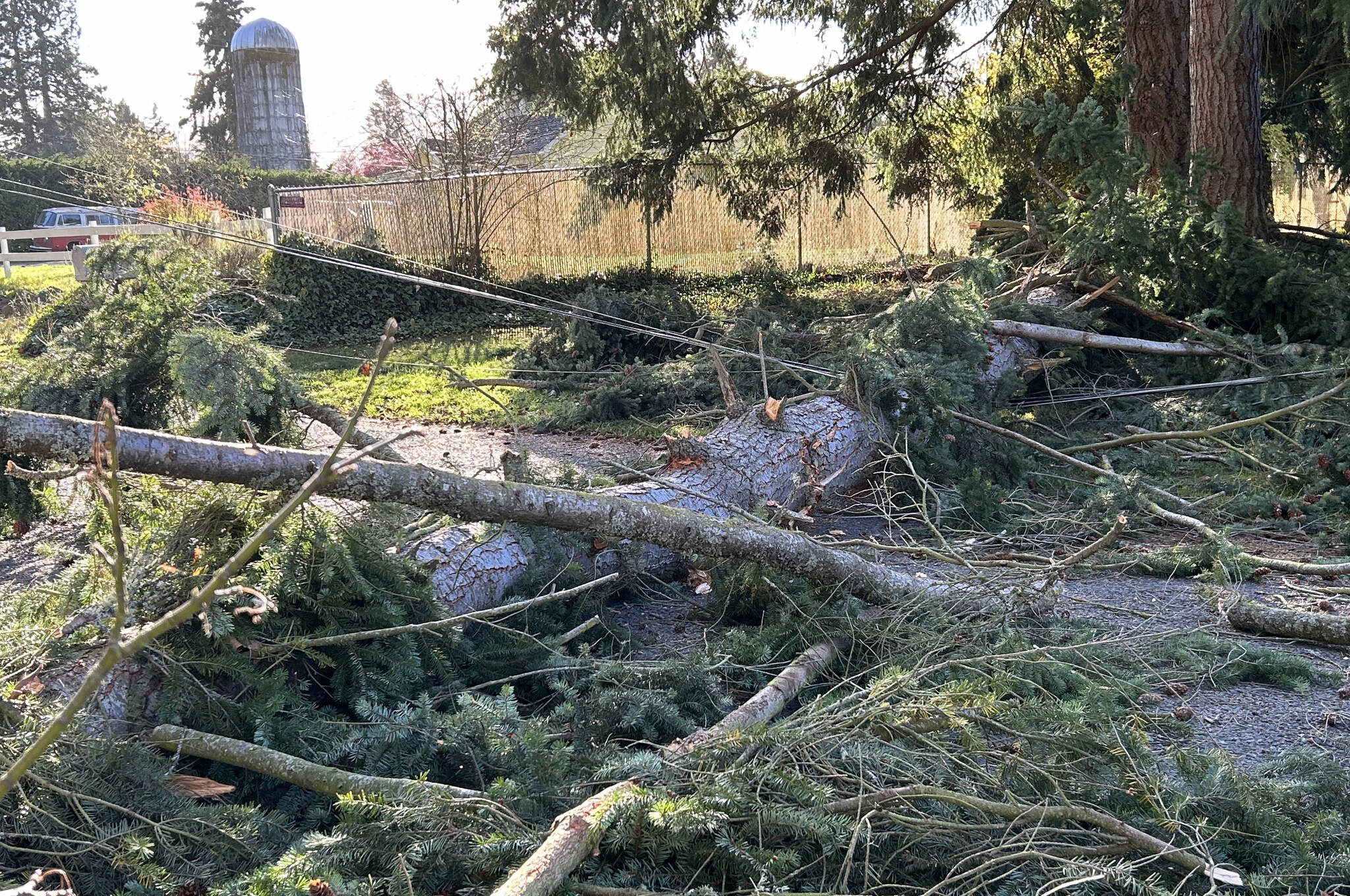 Sequim Gazette photo by Matthew Nash/ Clallam PUD crews respond to the 200 block of Riverside Road to repair power lines that fell due to high winds knocking over a tree on Nov. 4. Power went out for about 180 customers in the Dungeness Meadows area. Due to high winds, electricity for about 1,500 households was knocked out across Clallam County as of Monday afternoon. Crews with Clallam PUD were responding across the area, including to outages reported near Graysmarsh Farm and on Bell Hill.