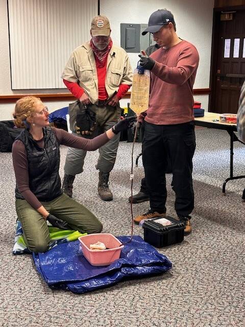 Photo courtesy of Clallam County Sheriff’s Search and Rescue Team / Instructor April Grisetti of Peninsula Wild Med works with Clallam County Sheriff’s Search and Rescue Team volunteers Parker Stoops, center, and Alex Serrato during a two-day Wilderness First Aid training course in early November.