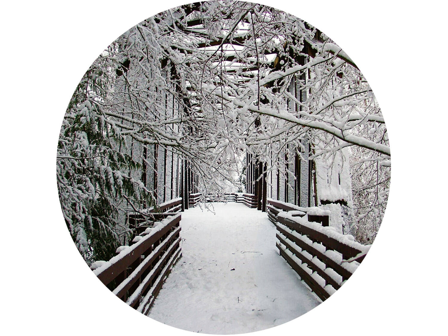 Photo courtesy Dungeness River Nature Center
At this year’s Holiday Nature Mart, Nov. 23-24, organizers introduce the first in a limited edition series of commemorative ornaments. This first ornament features a photo by Bob Boekelheide, former director of the center. Proceeds benefit the center.