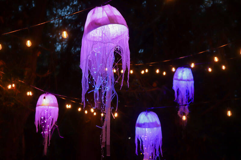 Photo by Matt Sagen/ Cascadia Films/ “Jellyfish” by Nicole Johnson was one of many light installations at the Port Angeles Fine Arts Center’s Light Art Experience in 2023. The event reopens on Friday, Nov. 29.