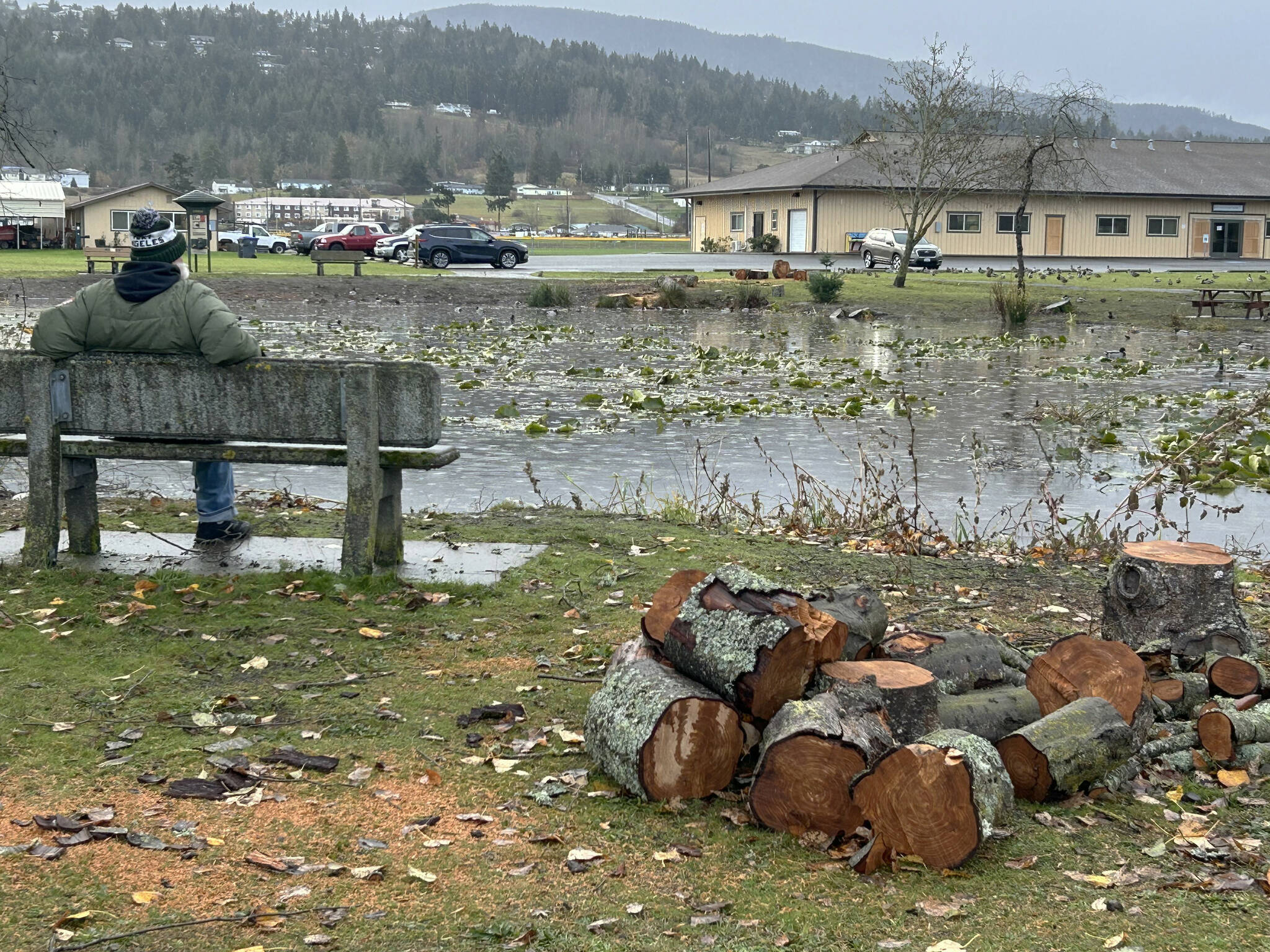 Sequim Gazette photo by Matthew Nash/ Prior to high winds from the bomb cyclone storm hitting Sequim on Nov. 19, City of Sequim crews cut down and/or removed some trees around Carrie Blake Community Park to prevent any possible injuries or structures from being damaged.