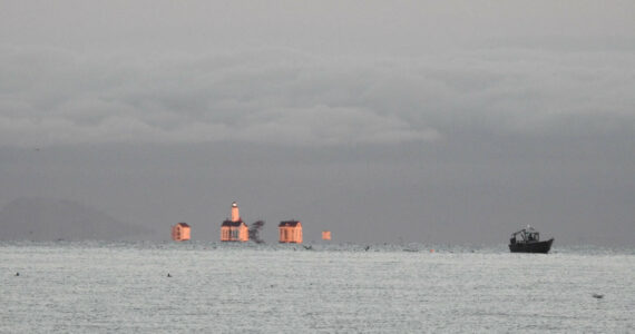 Contributor Teresa Herrera spots the New Dungeness Lighthouse on the gloomy morning of Nov. 21.