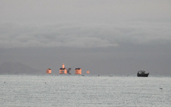 Contributor Teresa Herrera spots the New Dungeness Lighthouse on the gloomy morning of Nov. 21.