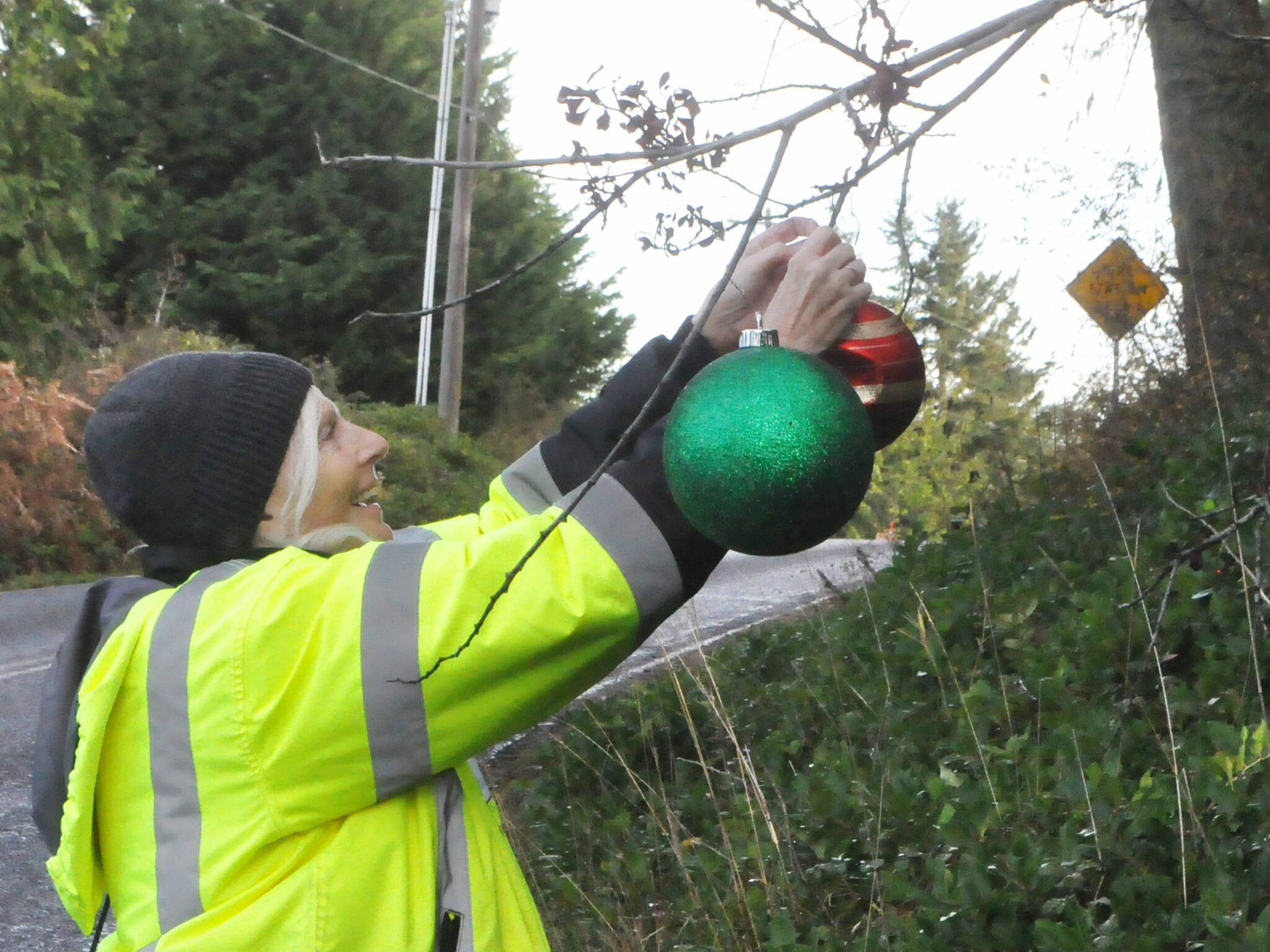 Sequim Gazette photos by Matthew Nash
Debbie Long of Diamond Point places ornaments along Diamond Point Road on Nov. 23 for the area’s Holiday Lane tradition.