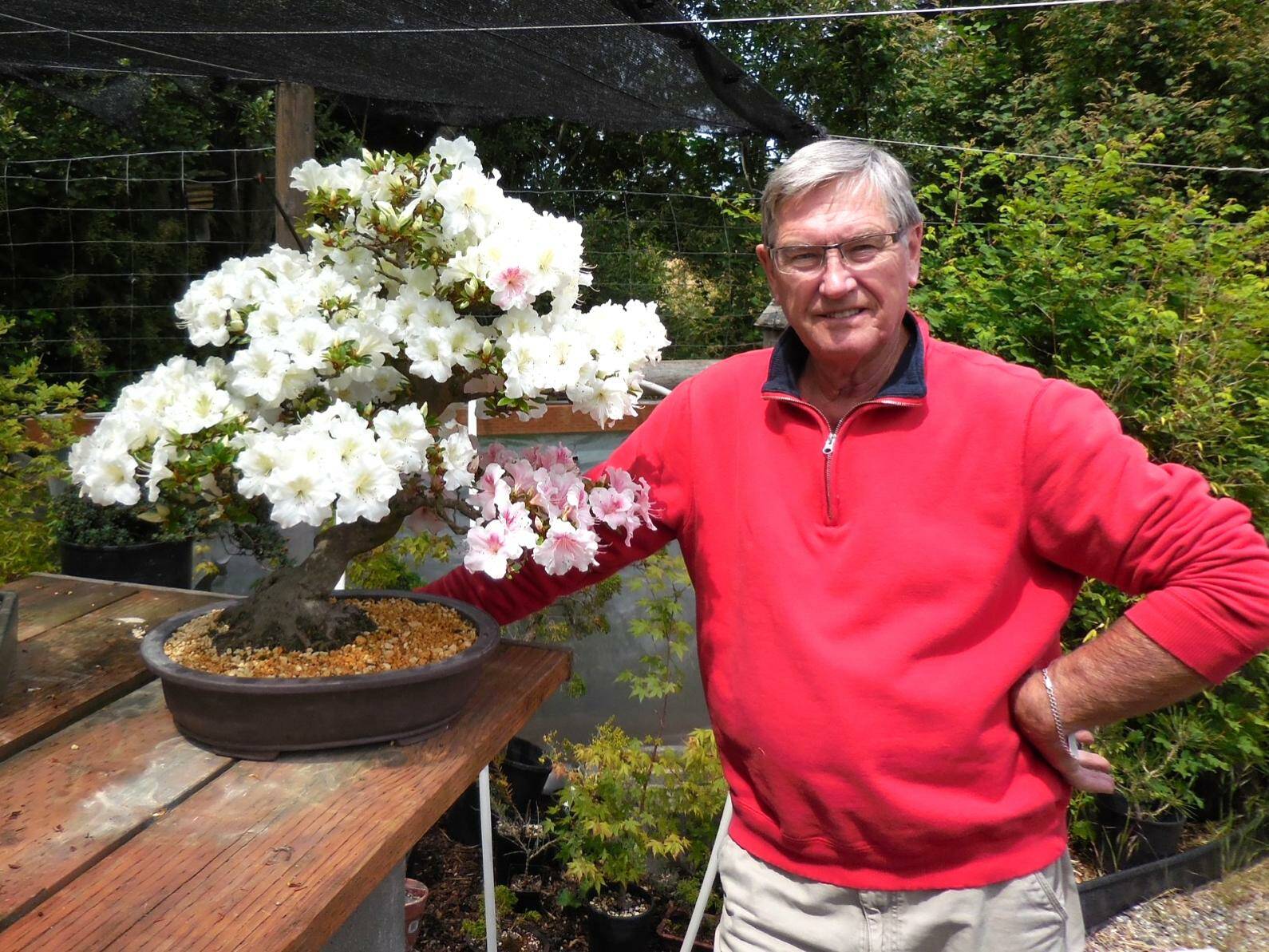 Photo courtesy of Sequim Prairie Garden Club/ Dungeness Bonsai Society member and Past President Ron Quigley speaks at 10:30 a.m. Monday, Jan. 6 in Pioneer Memorial Park.